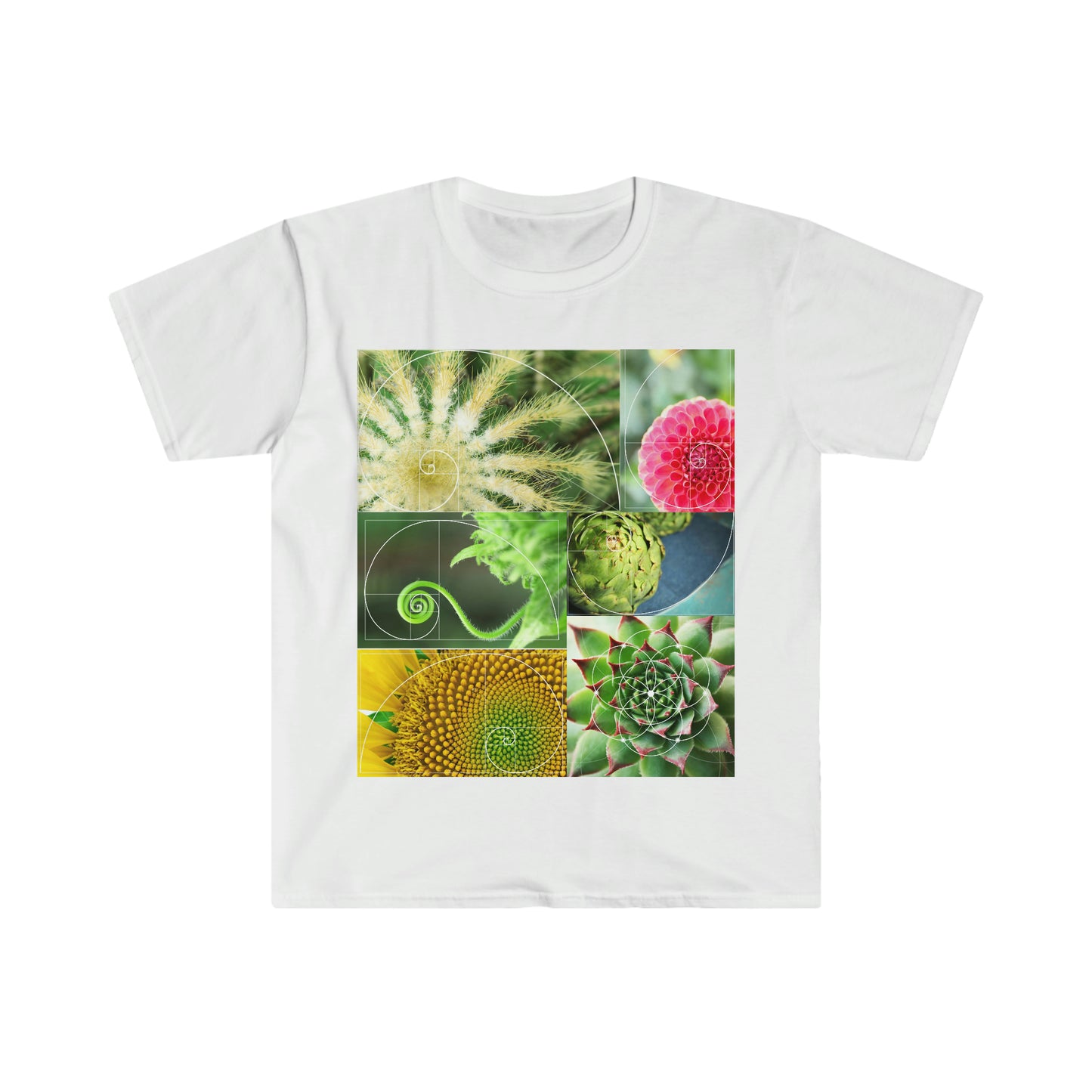 Fibonacci Unisex Softstyle T-Shirt