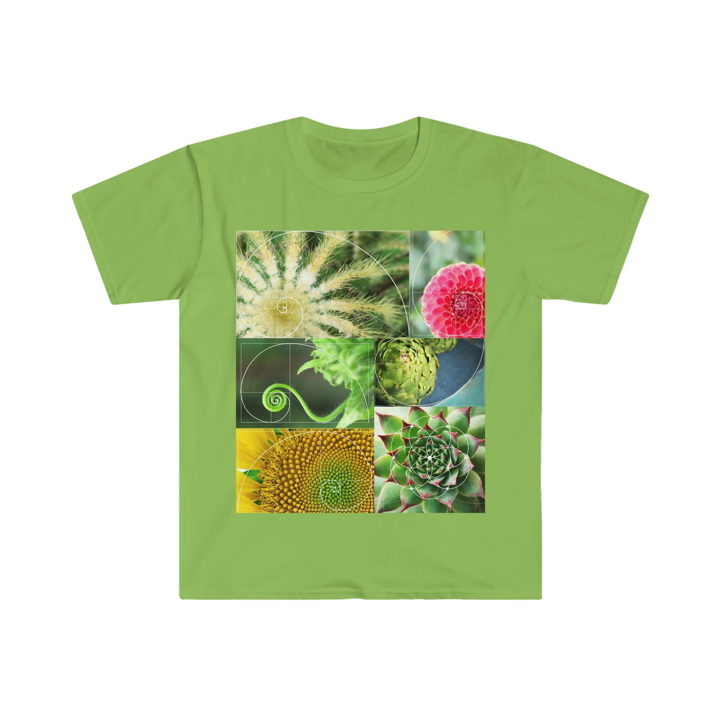 Fibonacci Unisex Softstyle T-Shirt