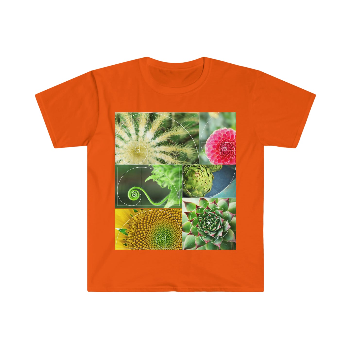 Fibonacci Unisex Softstyle T-Shirt