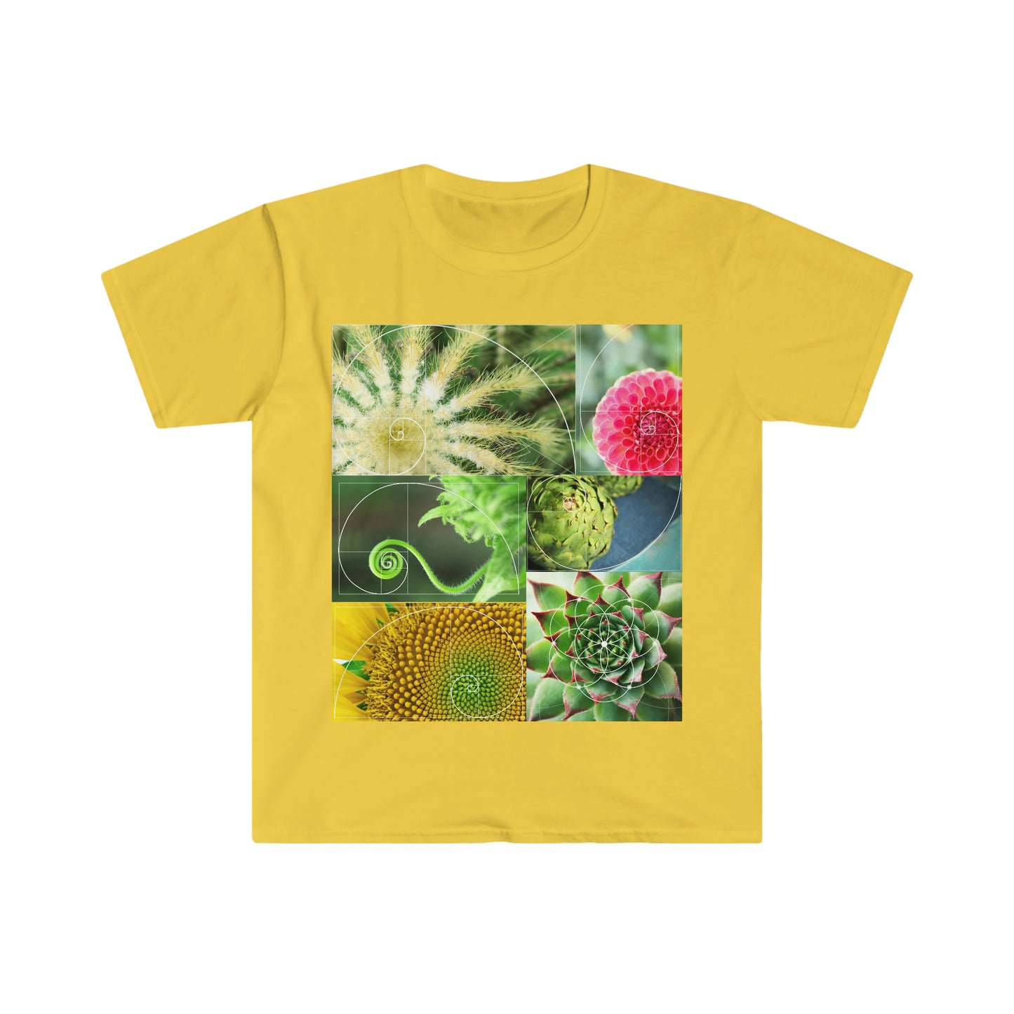 Fibonacci Unisex Softstyle T-Shirt