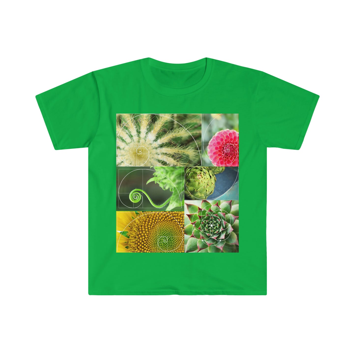 Fibonacci Unisex Softstyle T-Shirt